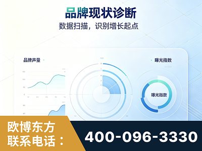 海西蒙古族-品牌现状诊断